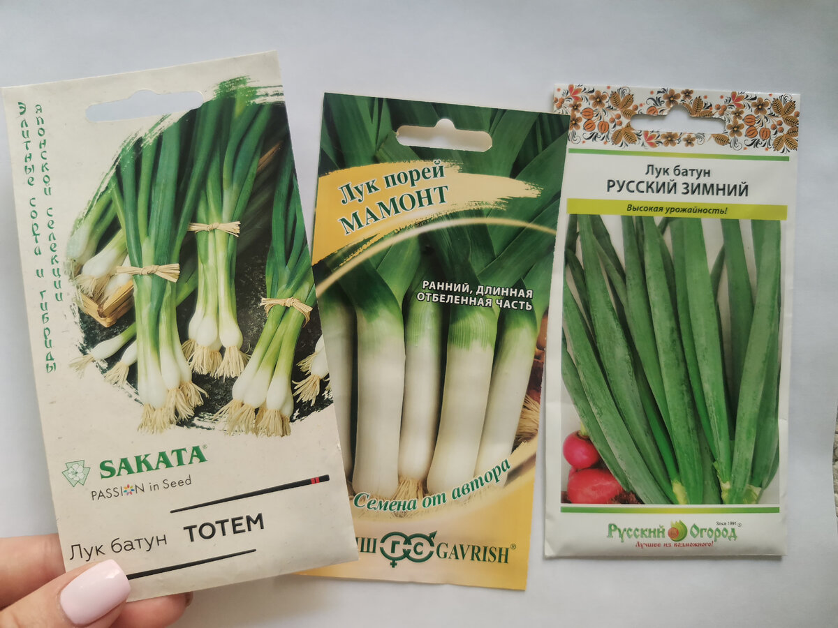 Весь лук из магазина "Порядок" по 19 руб.