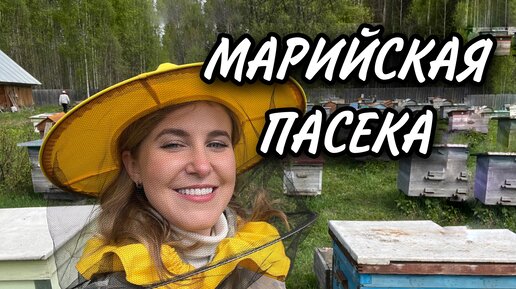 Марийская пасека. Пробую марийский мед.