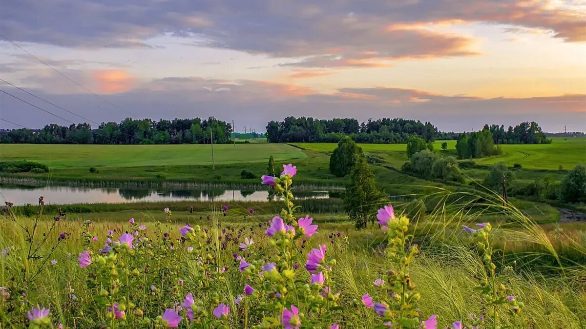 В течение предстоящей недели стоит уделить особое внимание запретам. Фото: pxhere.com