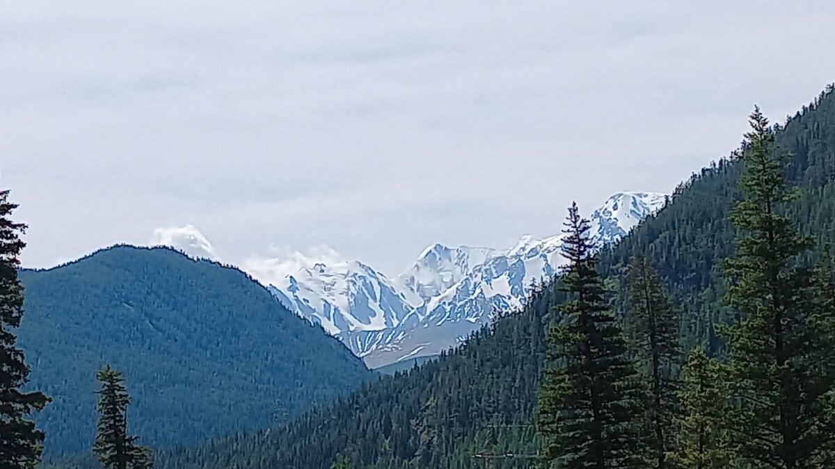 Вид на Северо-Чуйский хребет