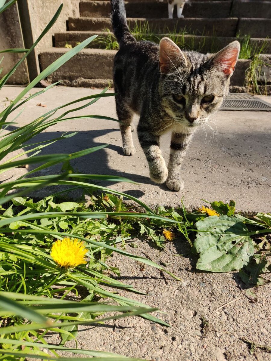 Жильцы торопятся на собрание