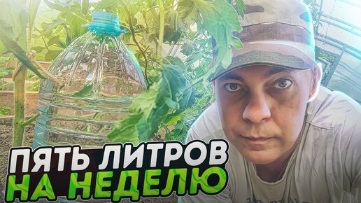 Капельный полив из пластиковых бутылок - Ogorodik — интернет-магазин семян