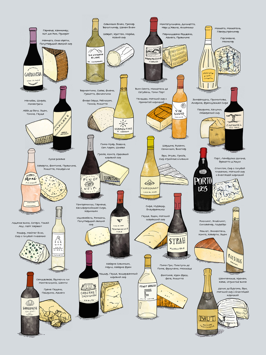 6 советов по сочетанию вина и сыра Gordian "wine library" Дзен