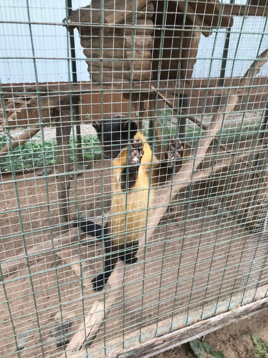 Зоосад в Вотчине, Устюг.