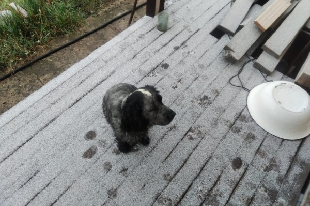    В Тверскую область циклон принесет очередные заморозки на выходных