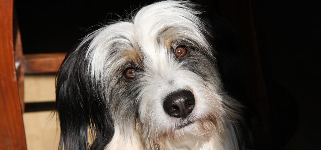 Фото с сайта https://pixabay.com/ru/