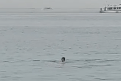    Мужчину в Хургаде съела акула. ©Скриншот / 112