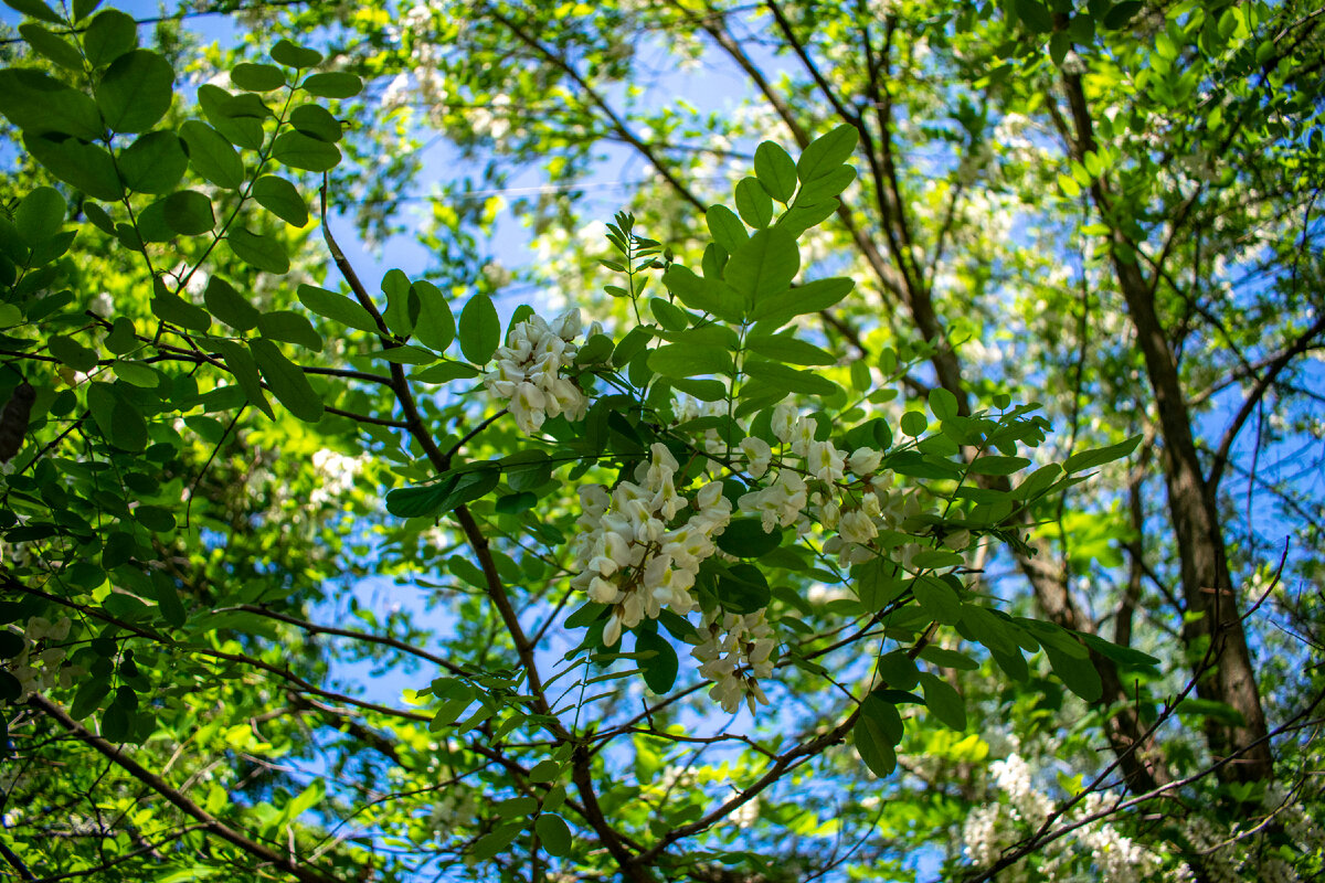 Фотография автора статьи. 