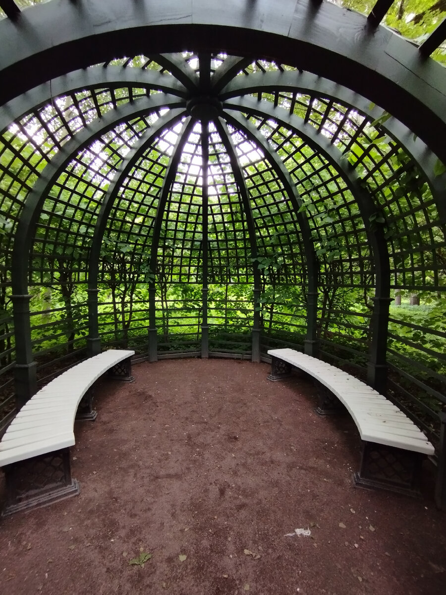 Зеленые беседки (ФОТО АВТОРА)