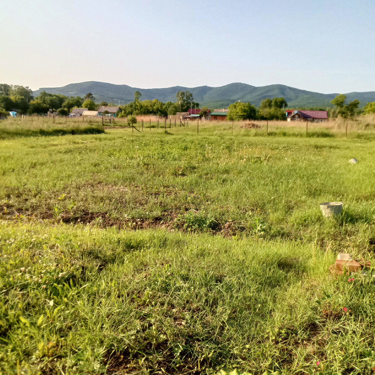 Теперь это большая полянка ( можно футбольные матчи устраивать))