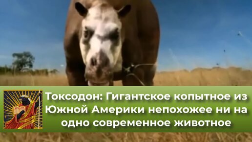 Токсодон: Гигантское копытное из Южной Америки не было похоже ни на одно современное животное | Видео 🎥