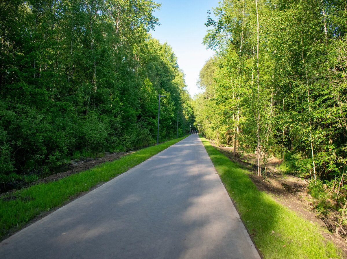 Велодорожка. Фотография автора статьи.