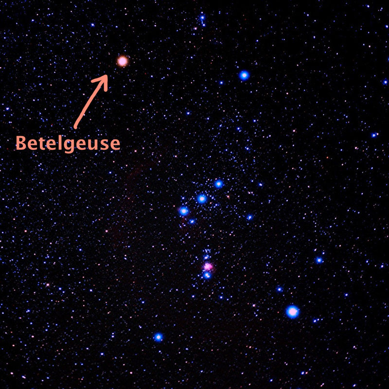 Звезда Бетельгейзе в созвездии Ориона. Бетельгейзе Альфа Ориона. Альфа Ориона звезда. Созвездие Орион Бетельгейзе ригель. Орион ригель