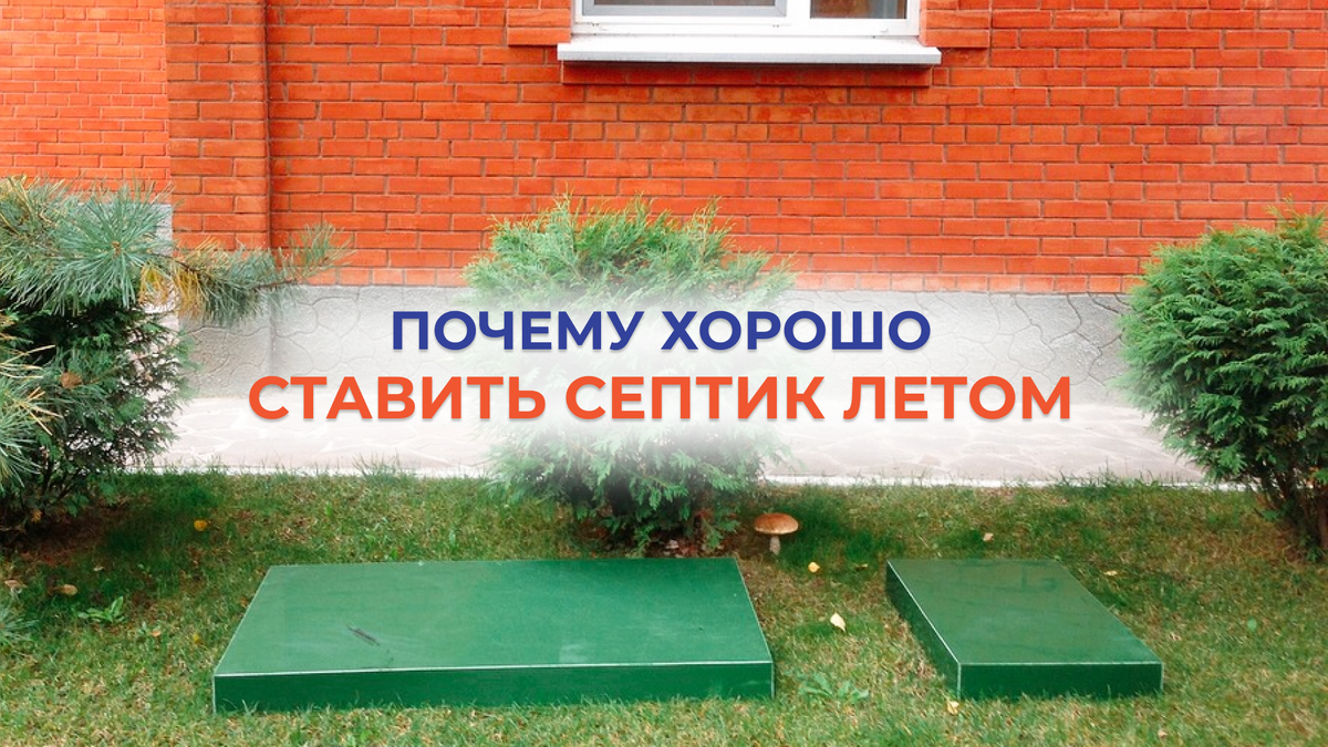Каждое время года имеет свои плюсы. Летом их больше всего.