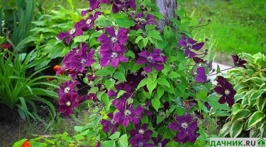 Засолнеченное место