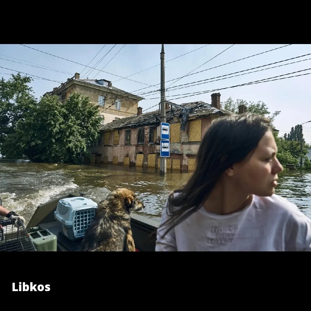  Разрушение плотины Каховской ГЭС можно назвать экологической катастрофой, приведшей не только к множеству человеческих жертв, но и к огромному ущербу окружающей среде.