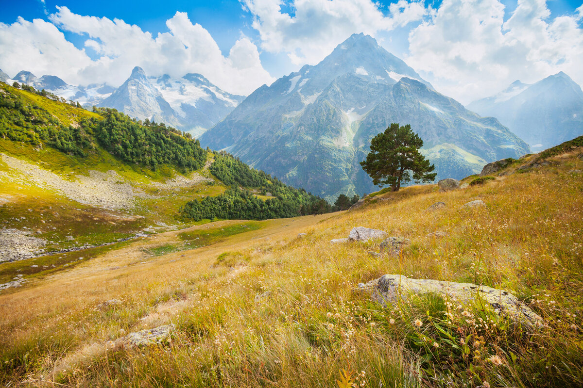 Изображение из Яндекс Картинки