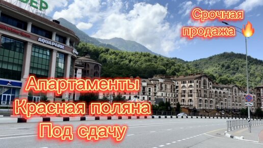 Апартаменты на Красной поляне. Срочная продажа. Готовый бизнес. #краснаяполяна #апартаментынакраснойполяне #готовыйбизнес