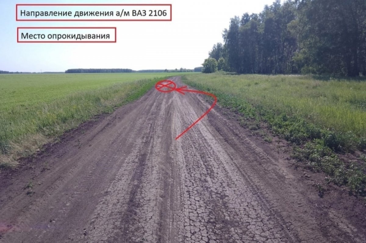    Пятеро подростков в омской Кормиловке перевернулись на машине