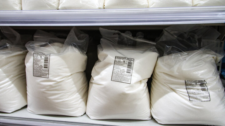 ФОТО: ALEKSANDER POLYAKOV/GLOBALLOOKPRESS