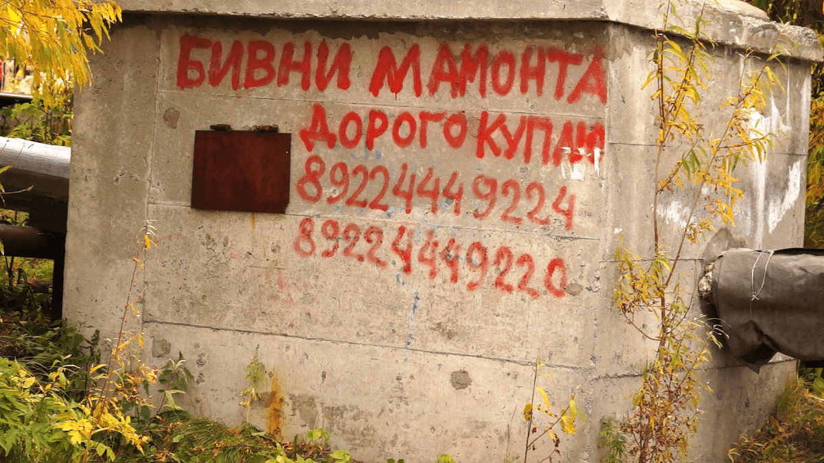 Кадр из фильма