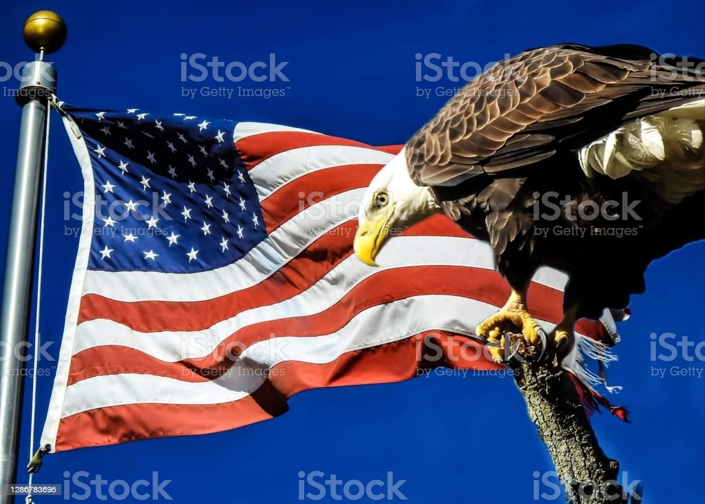 "Громче всех кричит "держи вора" сам вор"