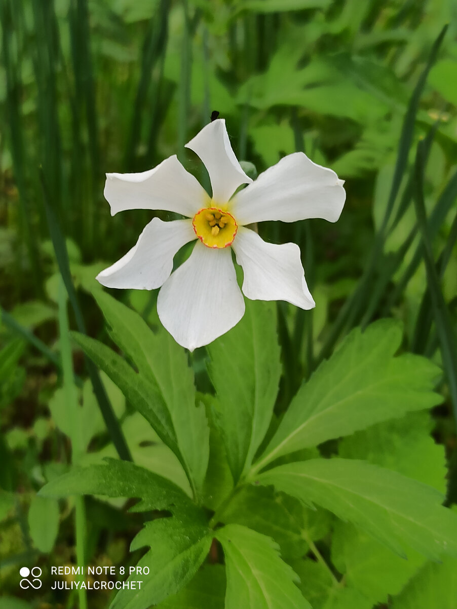 Личный архив