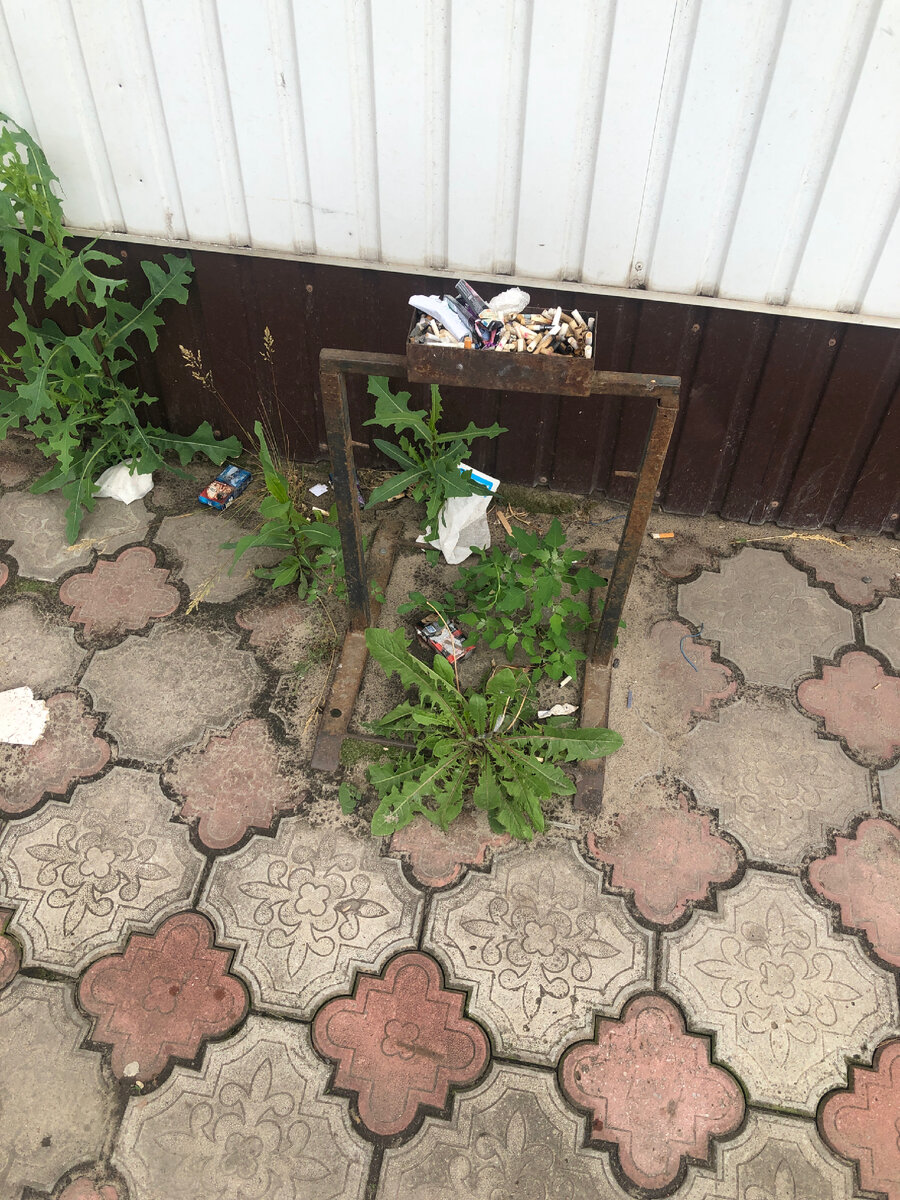 «Мусорка » около ВБ