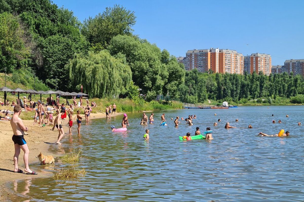    Несколько пляжей в Волгограде все-таки откроют