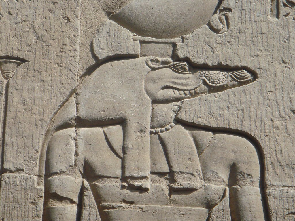 Фото: https://farm3.staticflickr.com/2767/4504456065_4d6bd43012_b.jpg