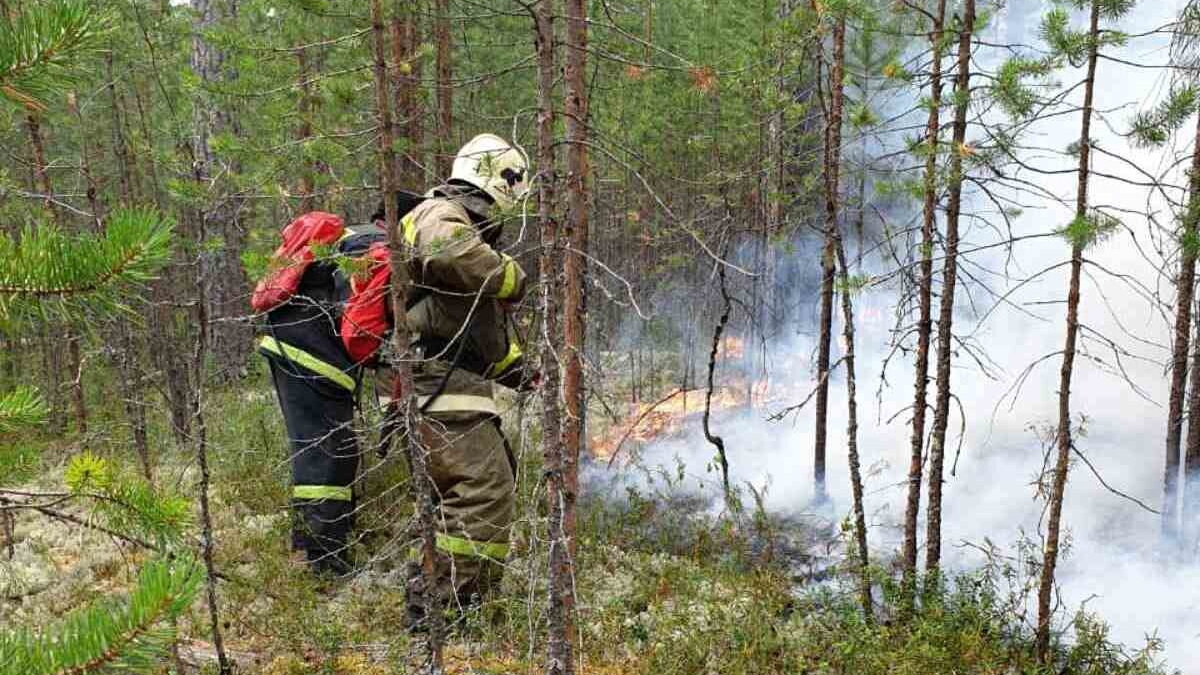    В Югре тушат 5 лесных пожаров