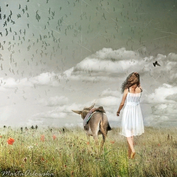 �������� - ������ ��������