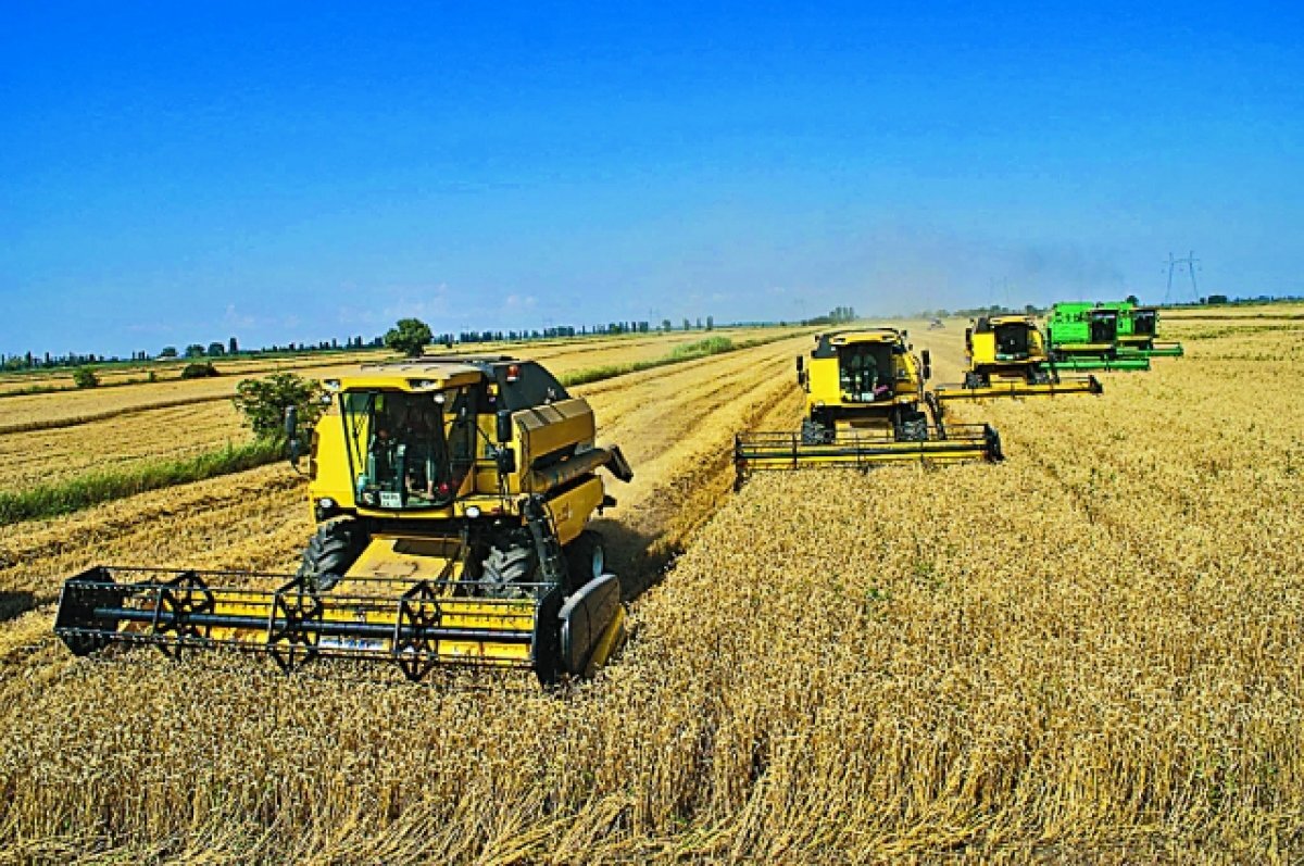    Проблема с кадрами в сельском хозяйстве, по словам Татьяны Кононенко, есть и у фермеров, и у крупных агрофирм. Комбайнёрам, например, готовы платить до 200 тысяч рублей в месяц, но даже на такую зарплату не всегда удаётся найти специалистов.