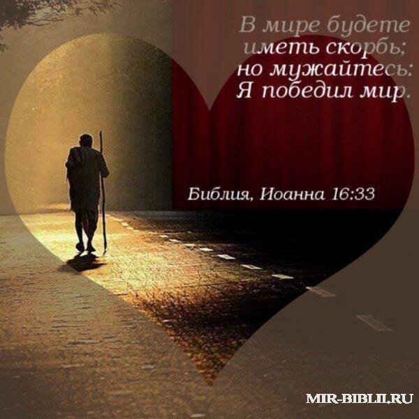 Из открытых источников Яндекса.