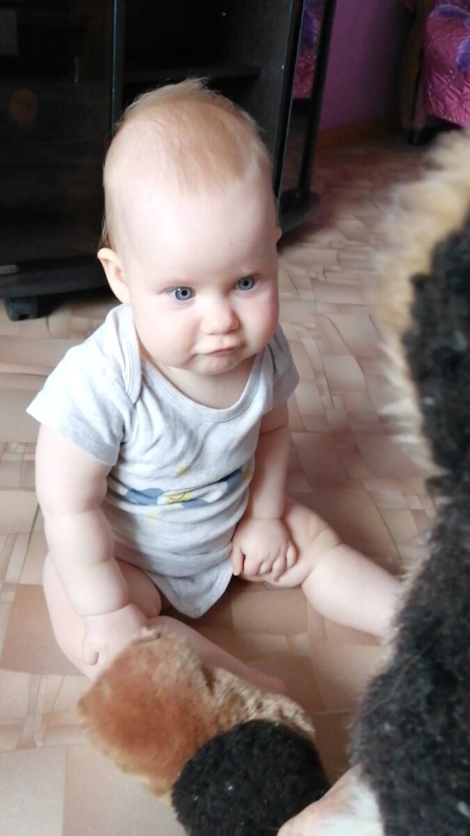 Начало "сидения" у бабушки, кот моего детства и очень подходящее к статье выражение лица