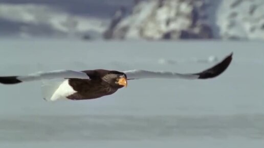 Определение бюджета