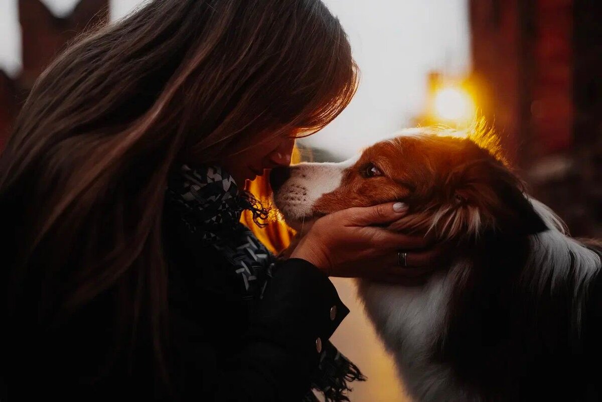 на фото я и мой Рэй, у него был статус service dog