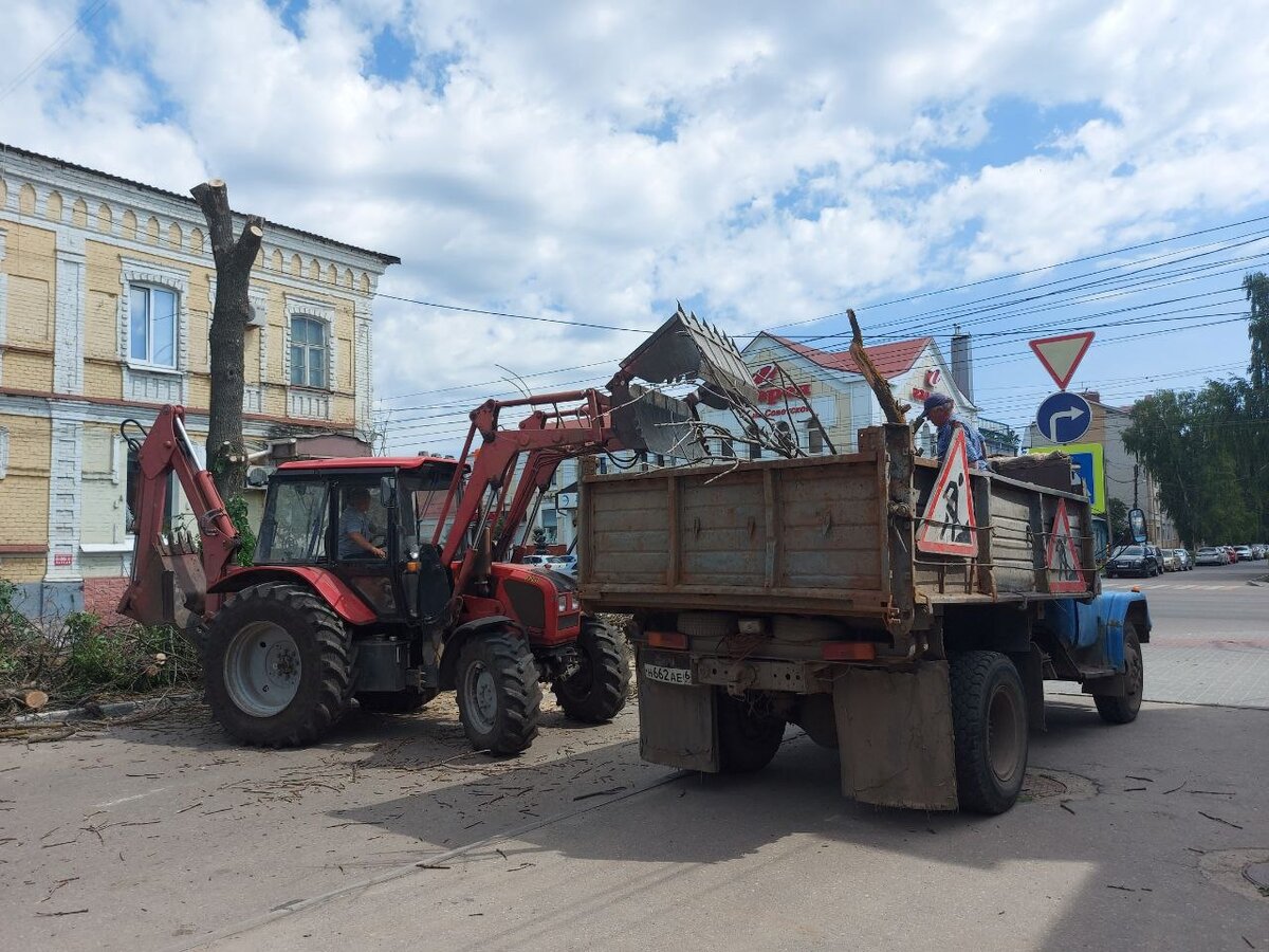 Такие деревья могут представлять угрозу для жителей