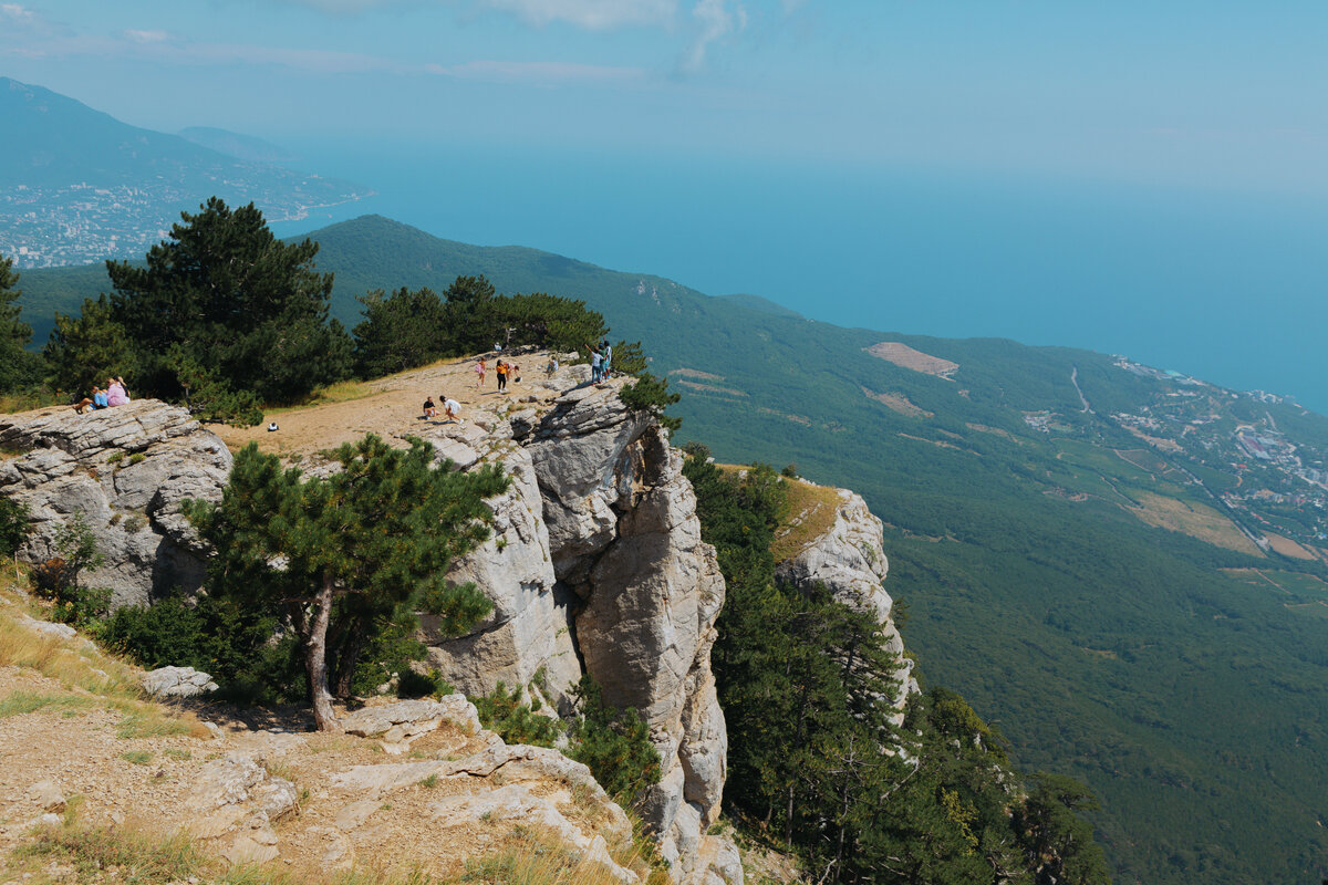 1200 Летний тис на ай Петри