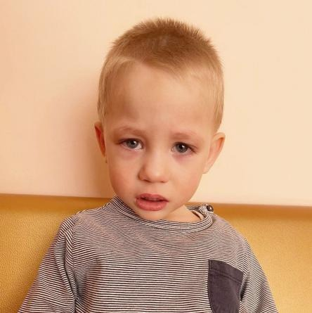 Проект по усыновлению детей сирот ищу маму