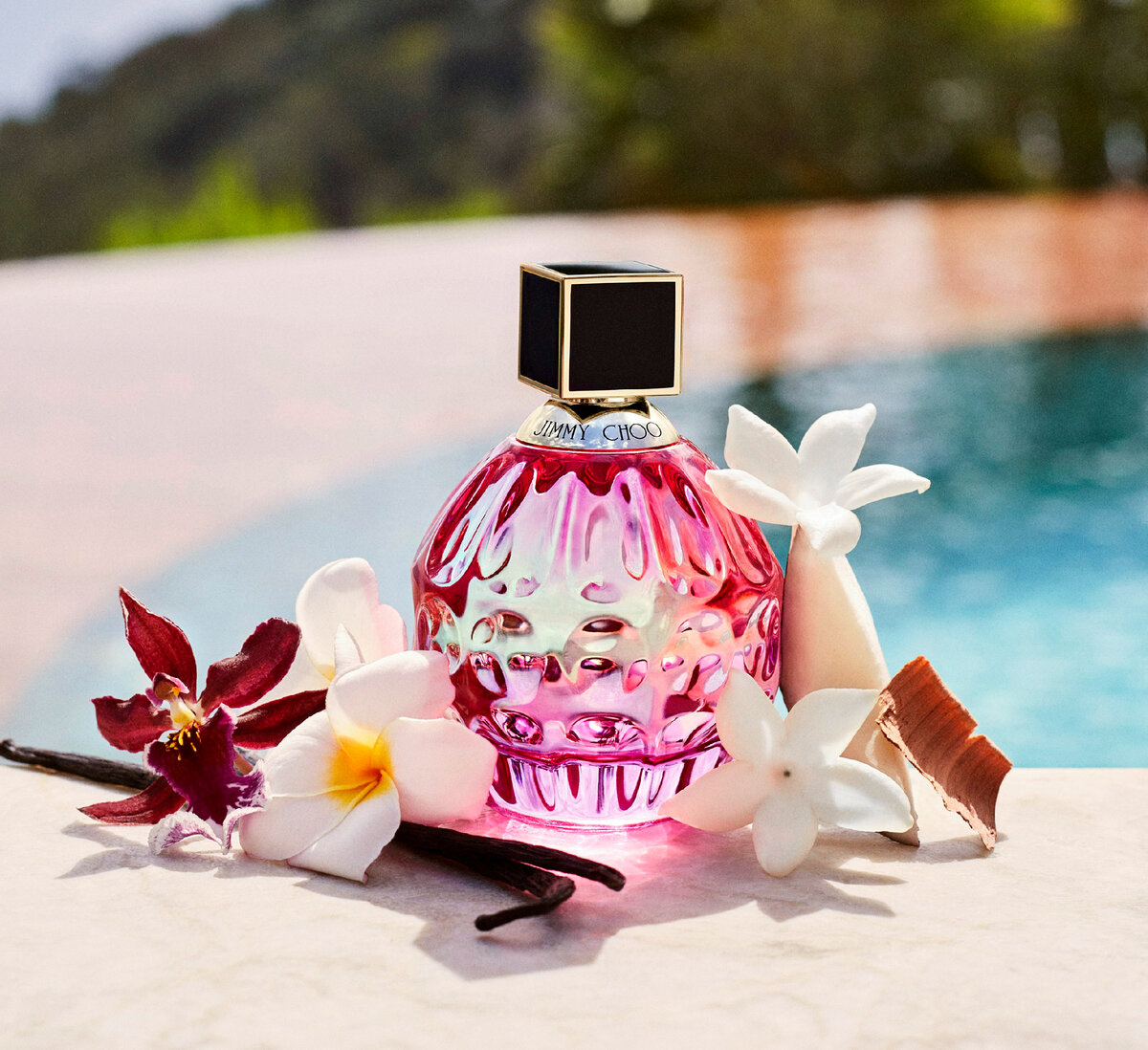 Jimmy choo rose passion. Jimmy choo rose passion