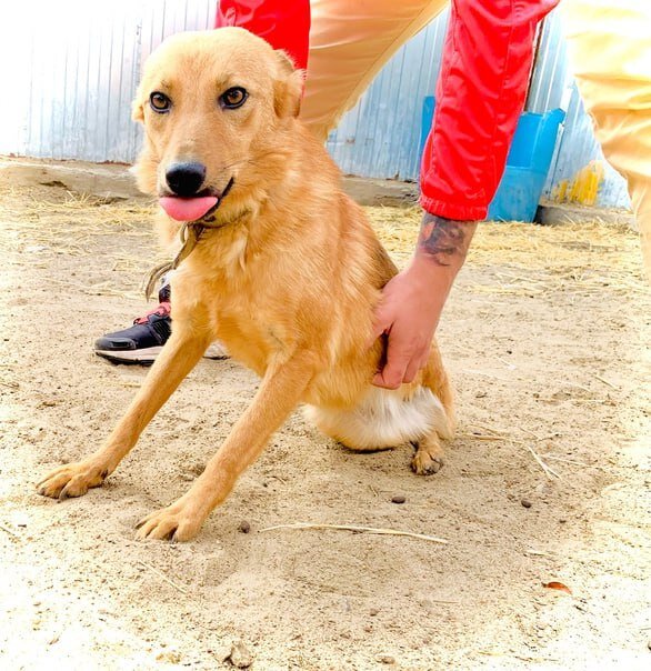 Красавица Моника