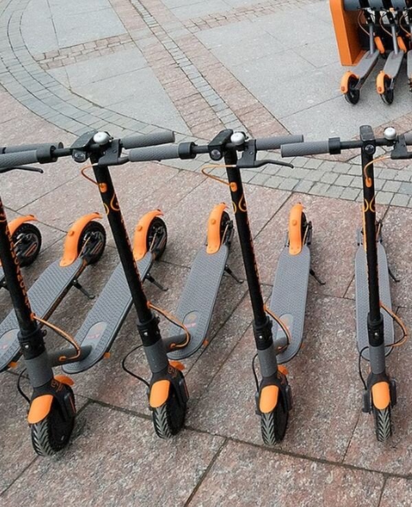 Источник фото: wikimedia