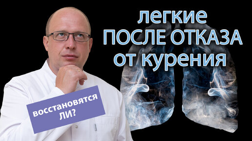 🚭 Восстанавливаются ли легкие после отказа от курения? 🌬️