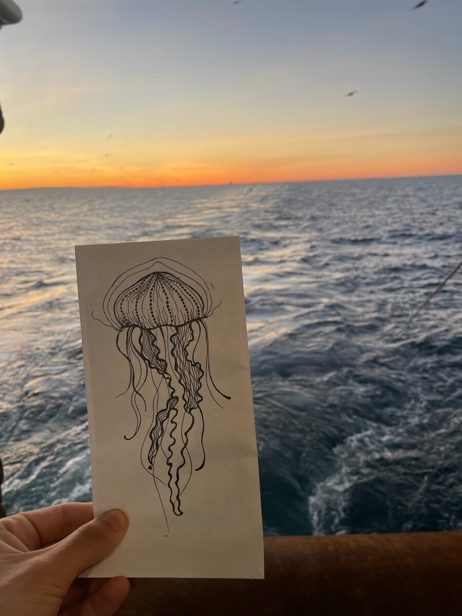 Где то в Баренцевом море🌊