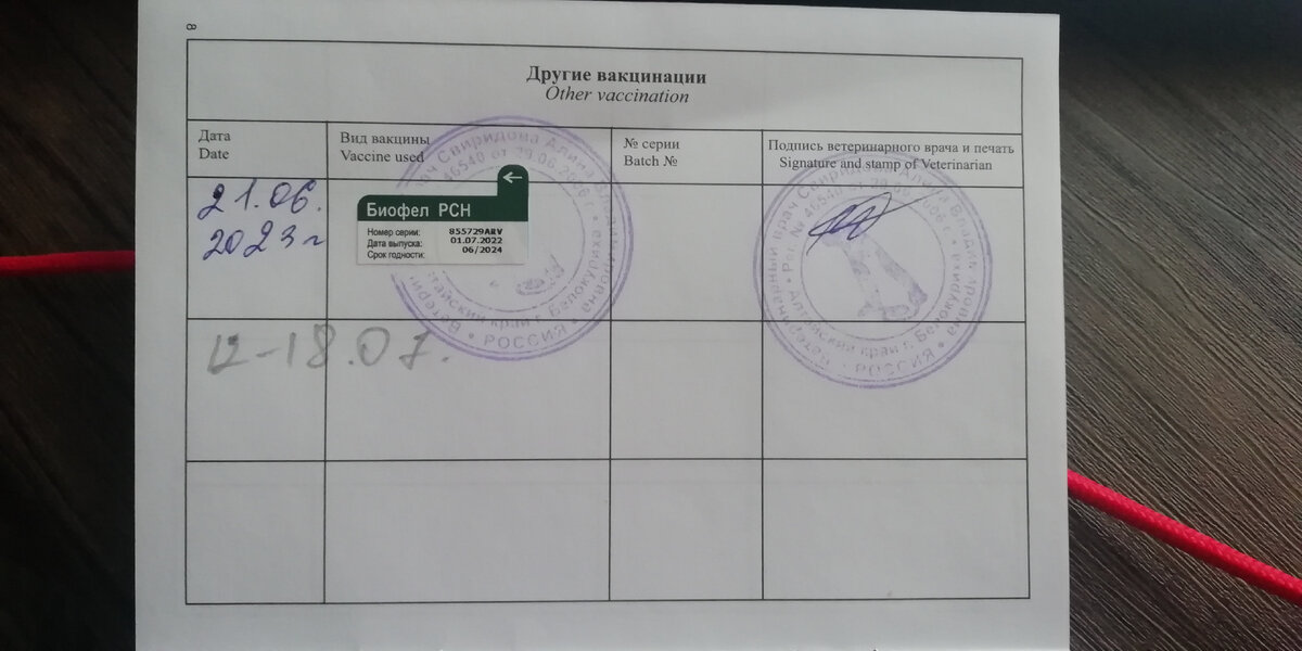 Запись о первой вакцине.