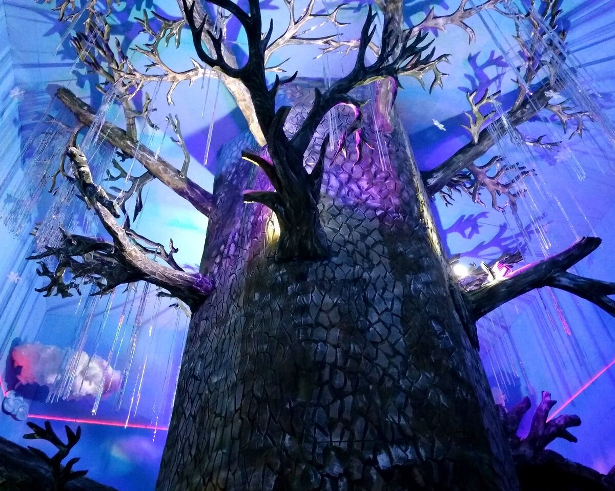 Фото: группа Вотчины Талвиукко во Вк (https://vk.com/karelian_huskies) 