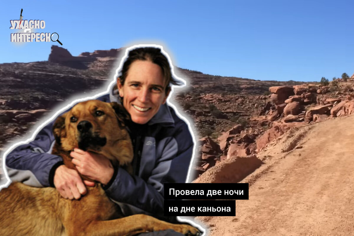 Иллюстрация автора