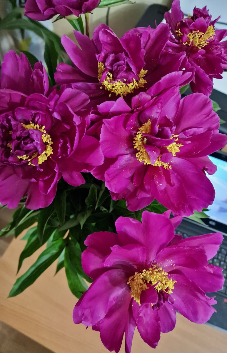 Ноут мой заметили?