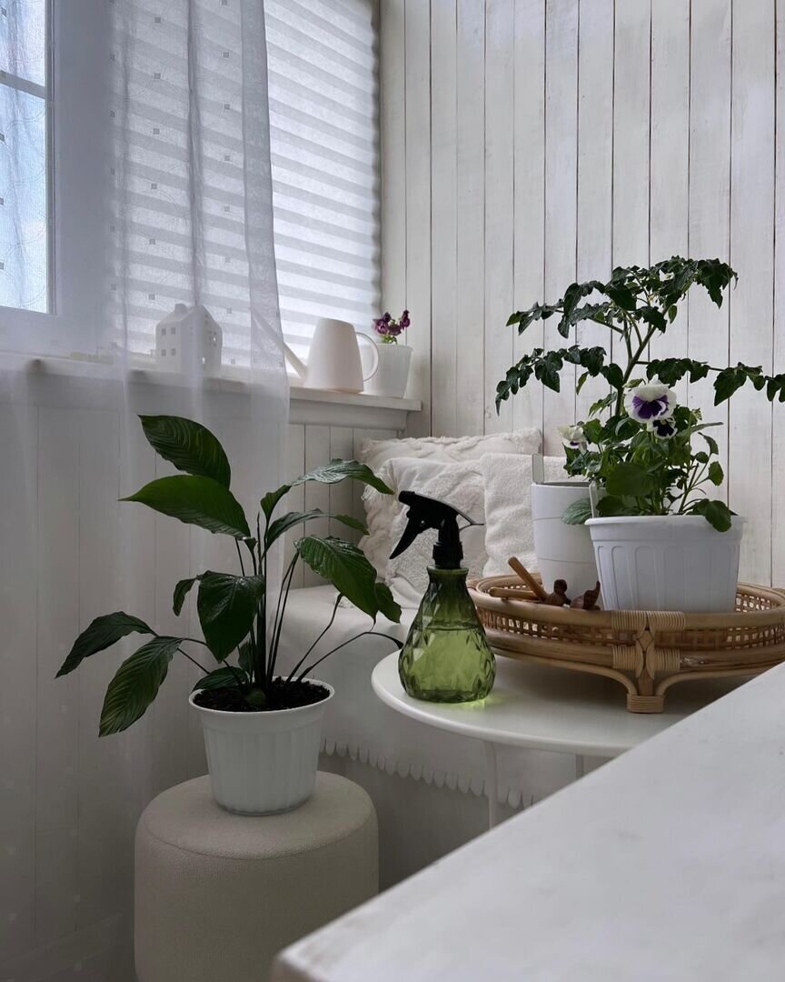     Фото: @venera_hygge